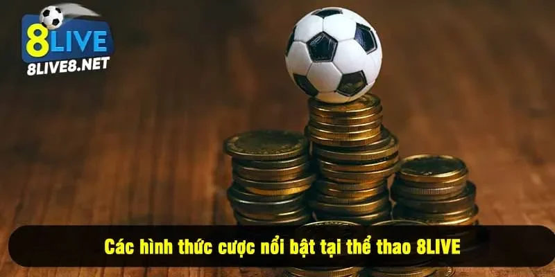 Các hình thức cược nổi bật tại thể thao 8LIVE