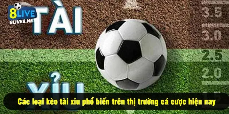 Các loại kèo tài xỉu phổ biến trên thị trường cá cược hiện nay