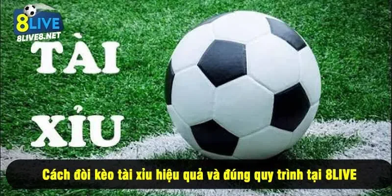 Cách đòi kèo tài xỉu hiệu quả và đúng quy trình tại 8LIVE