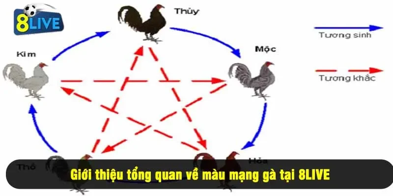 Giới thiệu tổng quan về màu mạng gà tại 8LIVE