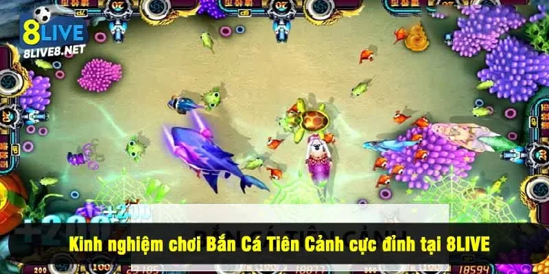 Kinh nghiệm chơi Bắn Cá Tiên Cảnh cực đỉnh tại 8LIVE
