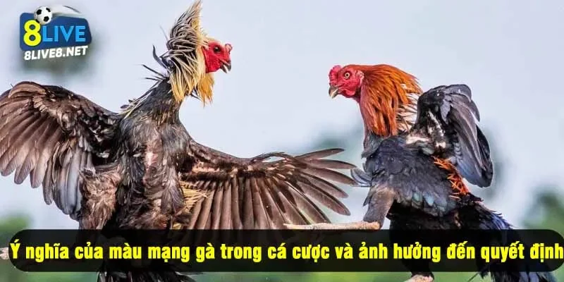 Ý nghĩa của màu mạng gà trong cá cược và ảnh hưởng đến quyết định